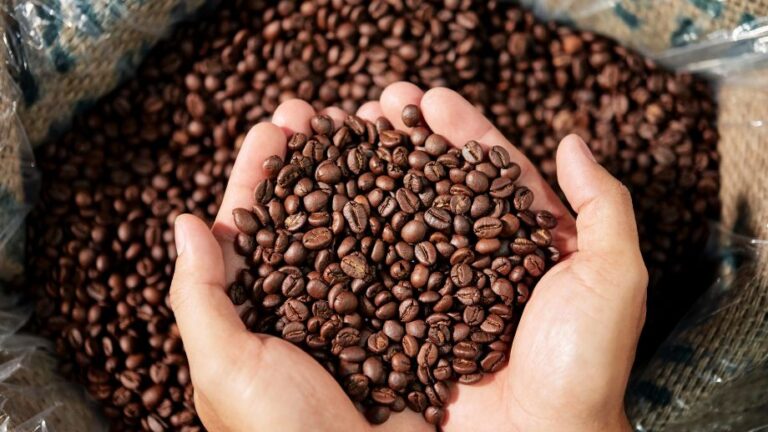 How To Store Coffee