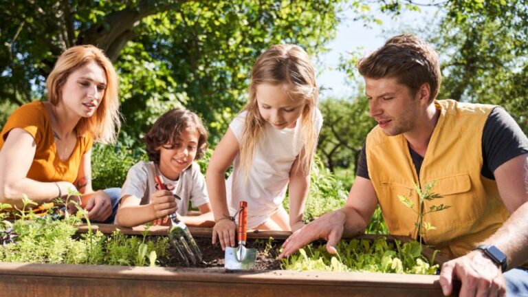 The Outdoor Adventures and Indoor Crafts That Have Brought My Family Closer
