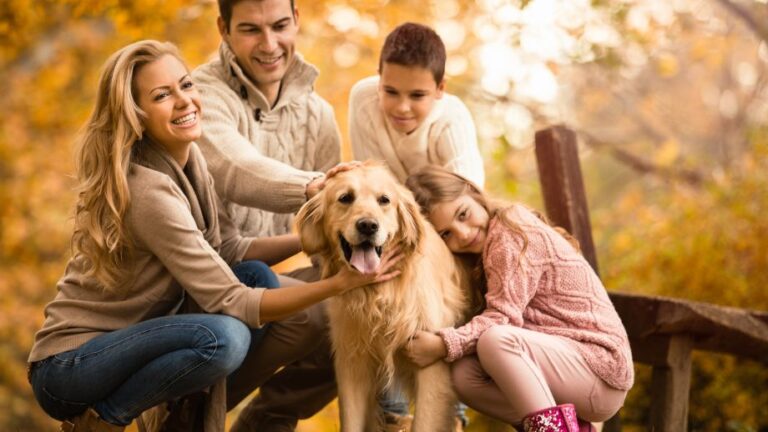 Why Building New Family Traditions Together Changed Everything for Us